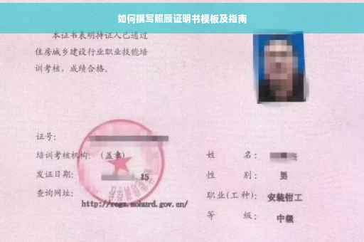 如何撰写照顾证明书模板及指南