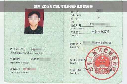 京东it工程师待遇,技能补贴职业名称填啥