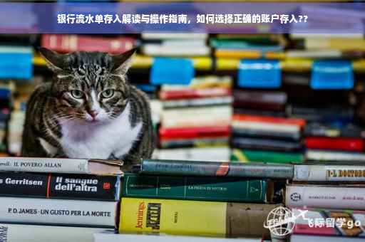 银行流水单存入解读与操作指南，如何选择正确的账户存入??