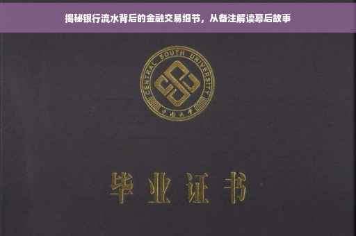 揭秘银行流水背后的金融交易细节，从备注解读幕后故事