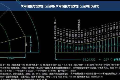 大专院校毕业发什么证书(大专院校毕业发什么证书比较好)