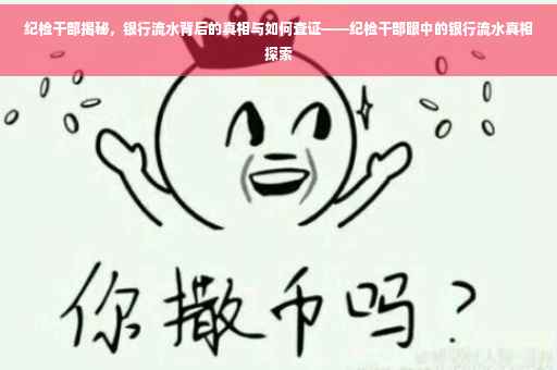 纪检干部揭秘，银行流水背后的真相与如何查证——纪检干部眼中的银行流水真相探索