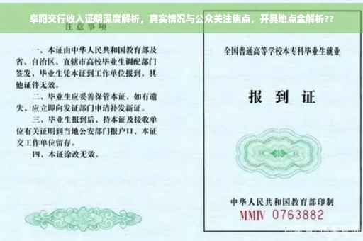 阜阳交行收入证明深度解析，真实情况与公众关注焦点，开具地点全解析??