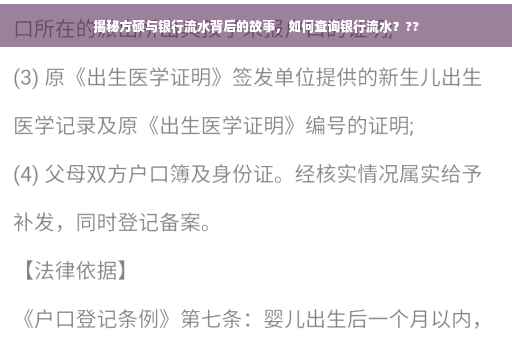 揭秘方硕与银行流水背后的故事，如何查询银行流水？??