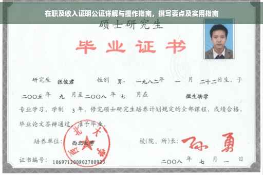 在职及收入证明公证详解与操作指南，撰写要点及实用指南
