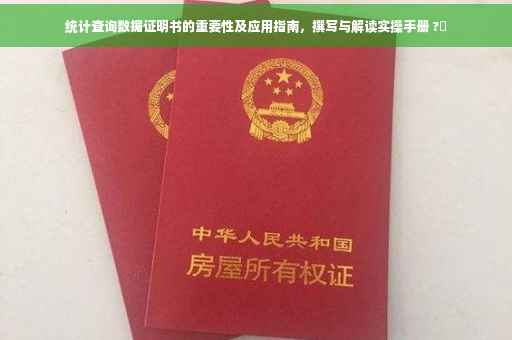 统计查询数据证明书的重要性及应用指南，撰写与解读实操手册 ?✨