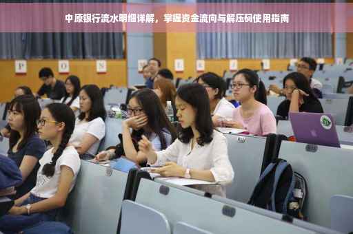 中原银行流水明细详解，掌握资金流向与解压码使用指南