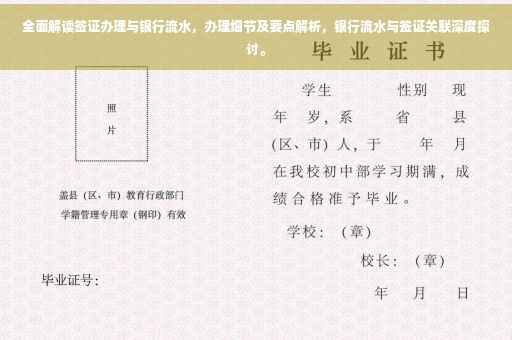 全面解读签证办理与银行流水，办理细节及要点解析，银行流水与签证关联深度探讨。