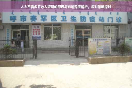 人力不肯多开收入证明的原因与影响深度解析，应对策略探讨