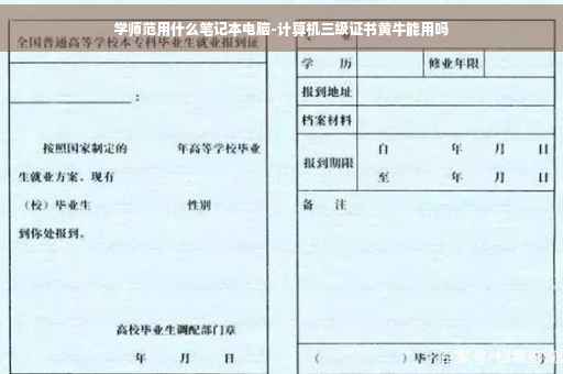 学师范用什么笔记本电脑-计算机三级证书黄牛能用吗