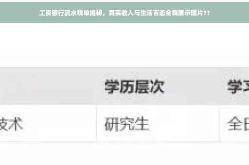 工资银行流水税单揭秘，真实收入与生活百态全貌展示图片??