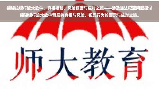 揭秘拉银行流水软件，真相揭秘、风险预警与应对之策——涉及违法犯罪问题探讨揭秘银行流水软件背后的真相与风险，犯罪行为的警示与应对之策。