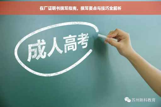 在厂证明书撰写指南，撰写要点与技巧全解析
