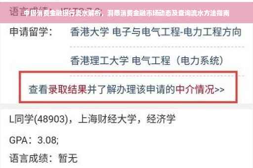 中银消费金融银行流水解析，洞悉消费金融市场动态及查询流水方法指南