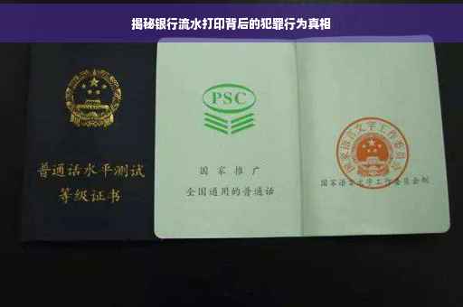 揭秘银行流水打印背后的犯罪行为真相