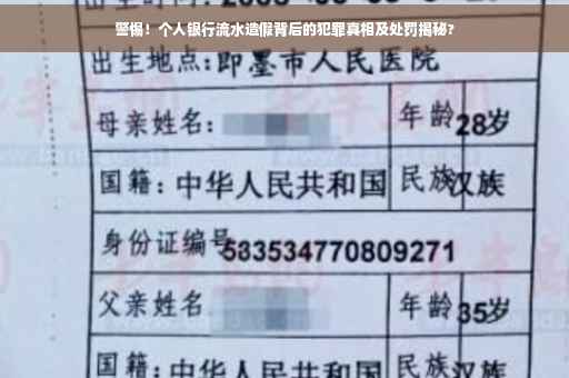 警惕！个人银行流水造假背后的犯罪真相及处罚揭秘?