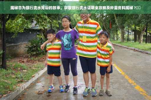 揭秘华为银行流水背后的故事，获取银行流水证明全攻略及所需资料揭秘 ?⚡️
