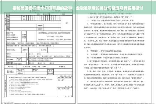 揭秘美国银行流水打印背后的故事，金融透明度的挑战与机遇及其费用探讨
