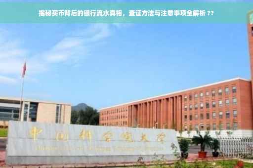 揭秘买币背后的银行流水真相，查证方法与注意事项全解析 ??