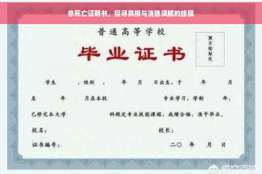 非死亡证明书，探寻真相与消除误解的旅程