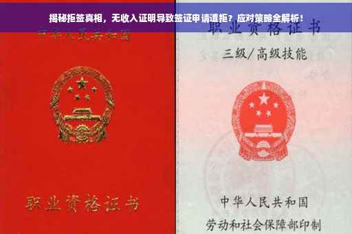 揭秘拒签真相，无收入证明导致签证申请遭拒？应对策略全解析！