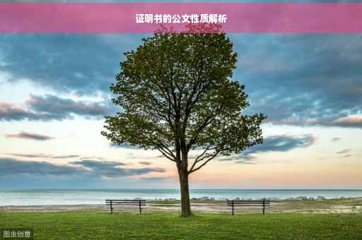 证明书的公文性质解析