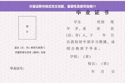 分居证明书格式范文详解，重要性及撰写指南??