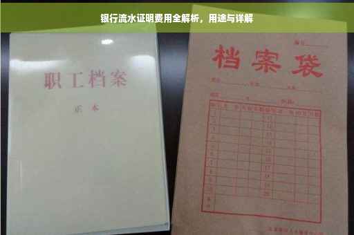 银行流水证明费用全解析，用途与详解