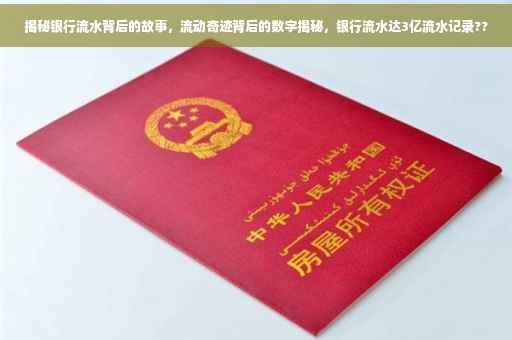 揭秘银行流水背后的故事，流动奇迹背后的数字揭秘，银行流水达3亿流水记录??