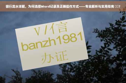银行流水详解，为何选择Word记录及正确操作方式——专业解析与实用指南 ⚡️?
