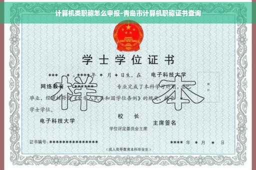 计算机类职称怎么申报-青岛市计算机职称证书查询