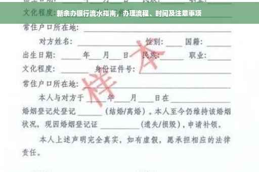 新余办银行流水指南，办理流程、时间及注意事项