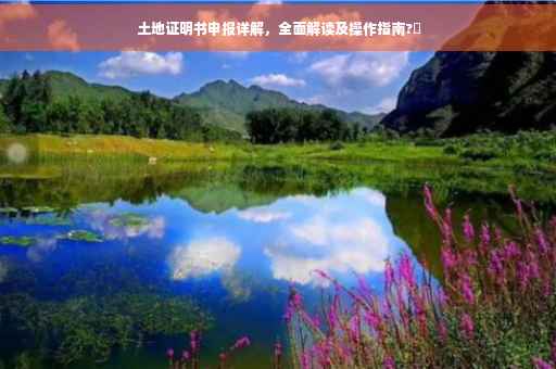 土地证明书申报详解，全面解读及操作指南?✨