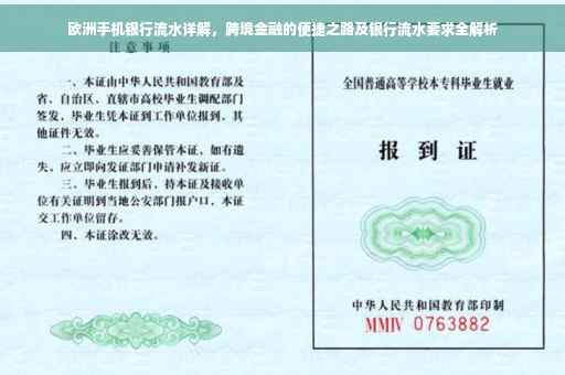 欧洲手机银行流水详解，跨境金融的便捷之路及银行流水要求全解析