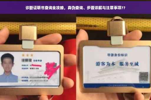 诊断证明书查询全攻略，真伪查询、步骤详解与注意事项??