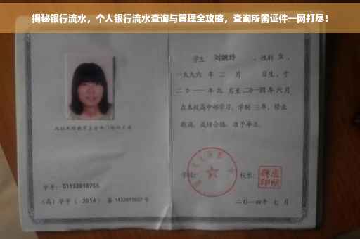 揭秘银行流水，个人银行流水查询与管理全攻略，查询所需证件一网打尽！