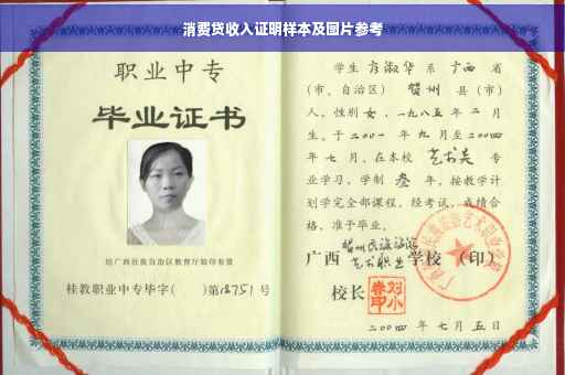 消费贷收入证明样本及图片参考