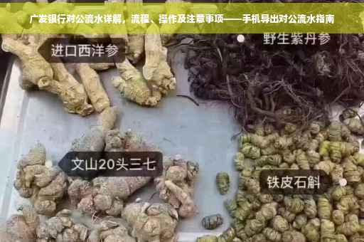 广发银行对公流水详解，流程、操作及注意事项——手机导出对公流水指南