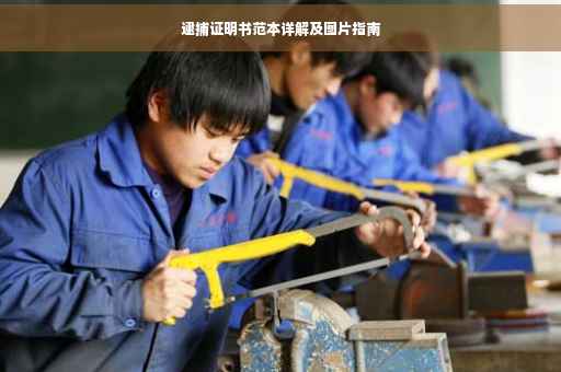 逮捕证明书范本详解及图片指南