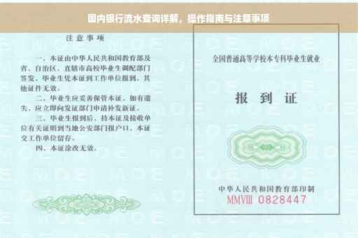 国内银行流水查询详解，操作指南与注意事项