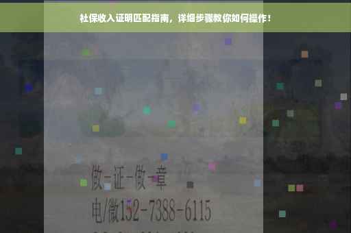 社保收入证明匹配指南，详细步骤教你如何操作！
