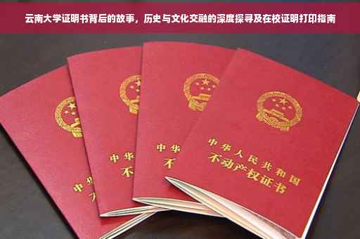 云南大学证明书背后的故事，历史与文化交融的深度探寻及在校证明打印指南