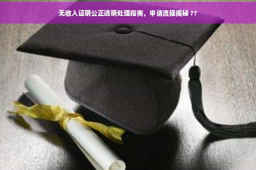 无收入证明公正透明处理指南，申请流程揭秘 ??