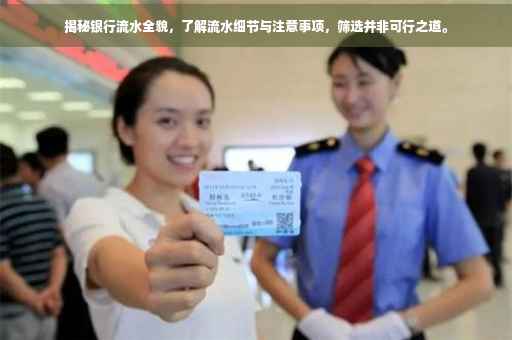 揭秘银行流水全貌，了解流水细节与注意事项，筛选并非可行之道。