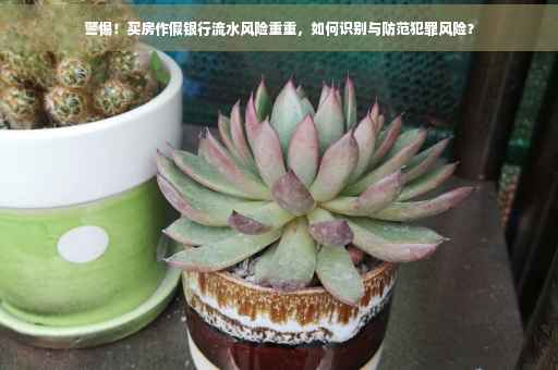 警惕！买房作假银行流水风险重重，如何识别与防范犯罪风险？