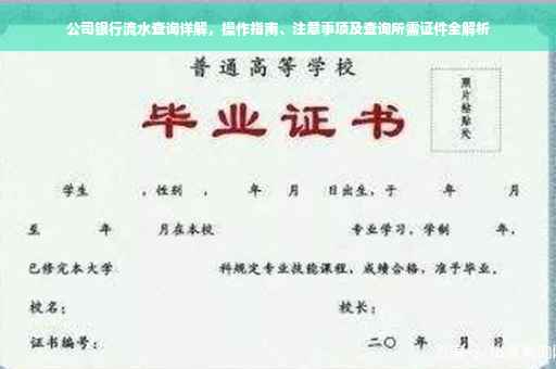 公司银行流水查询详解，操作指南、注意事项及查询所需证件全解析