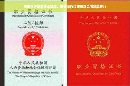宝塔银行发票流水详解，查询操作指南与常见问题解答??