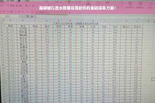 揭秘银行流水数据应用软件的金融信息力量！