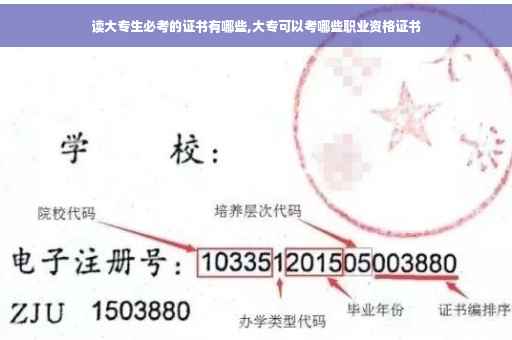 读大专生必考的证书有哪些,大专可以考哪些职业资格证书