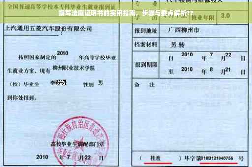 撰写法庭证明书的实用指南，步骤与要点解析??